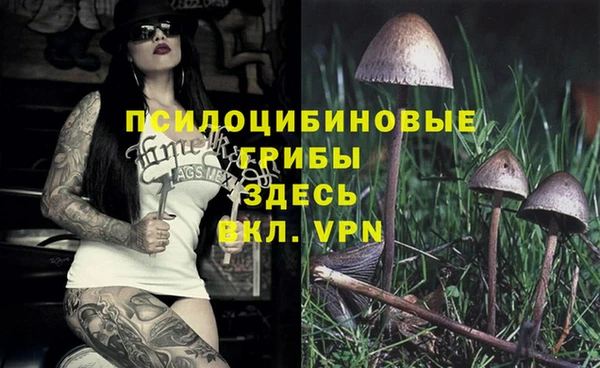 кокс Фурманов