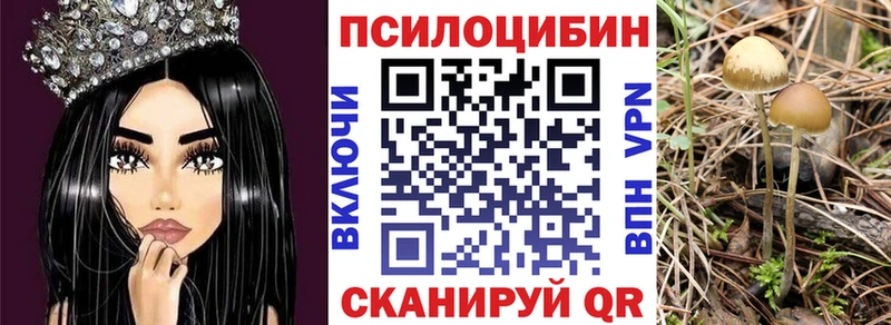 где можно купить наркотик  Чкаловск  Галлюциногенные грибы мухоморы 